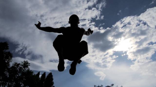 荟萃全球顶级大片 成就纪录片旗舰品牌