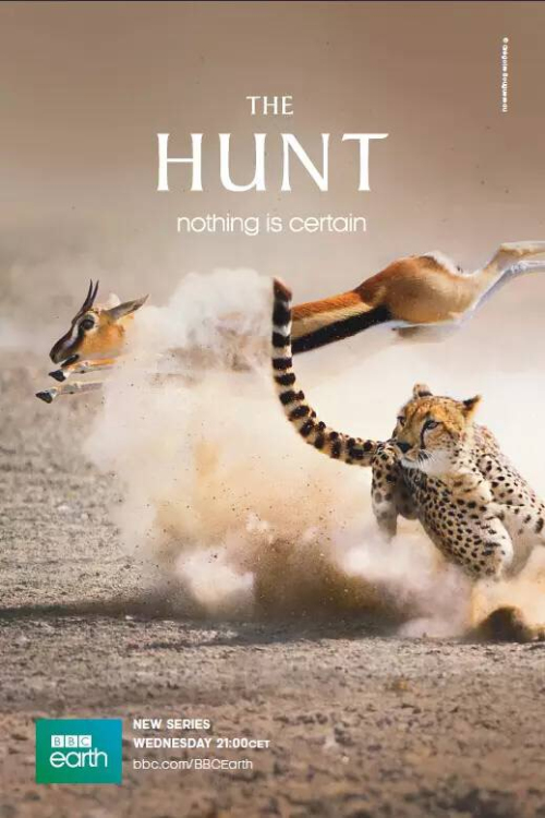 荟萃全球顶级大片 成就纪录片旗舰品牌